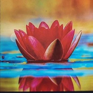 Meet your Posher, Mimi